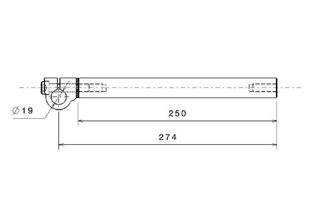 Branch/Rod